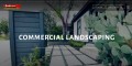 Commercial Landscape Maintenance in Austin TX