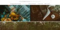 Professional | Engagement | Photographer Austin Tx