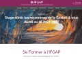 IFGAP Institut de Formation en Gestalt et Accompagnement Professionnel