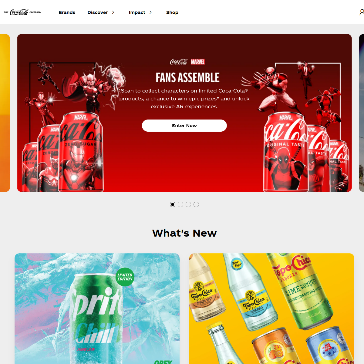 Coca-Cola Website Preview