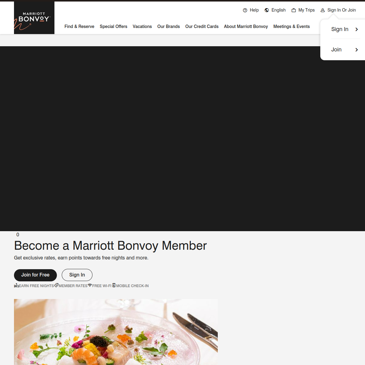 Marriott International Website Preview