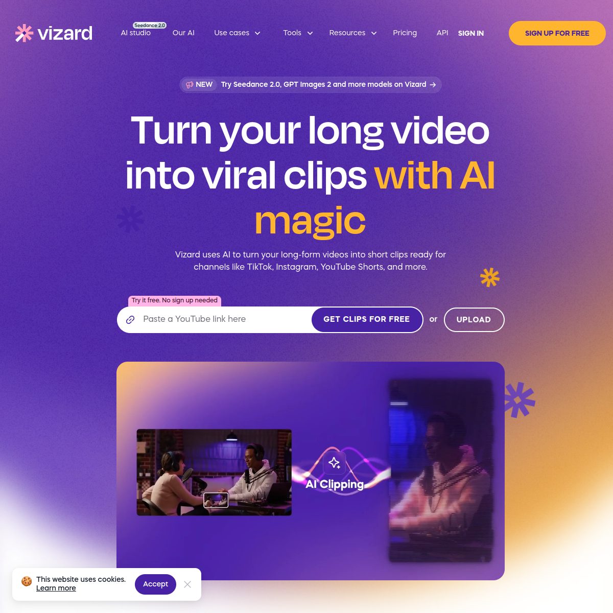 Vizard