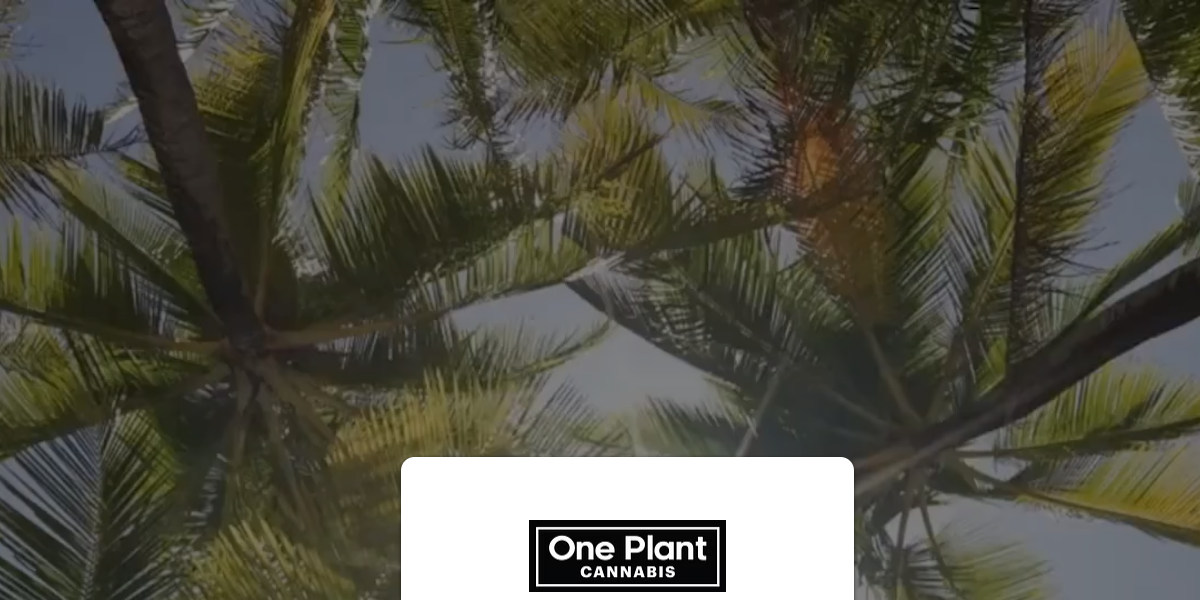 One Plant Cannabis – Orange Park
