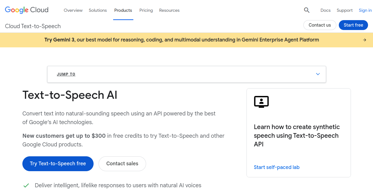 Google Text-to-Speech screenshot