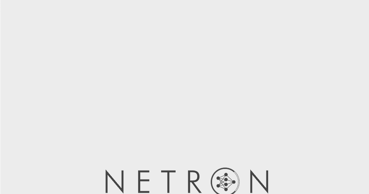 netron screenshot