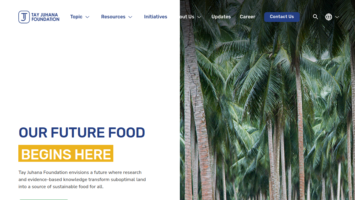 Screenshot website tayjuhanafoundation.org