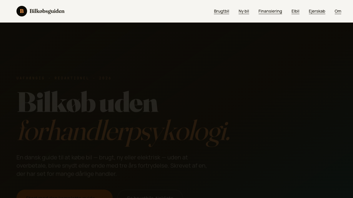 Bilkoebsguide.dk - screenshot