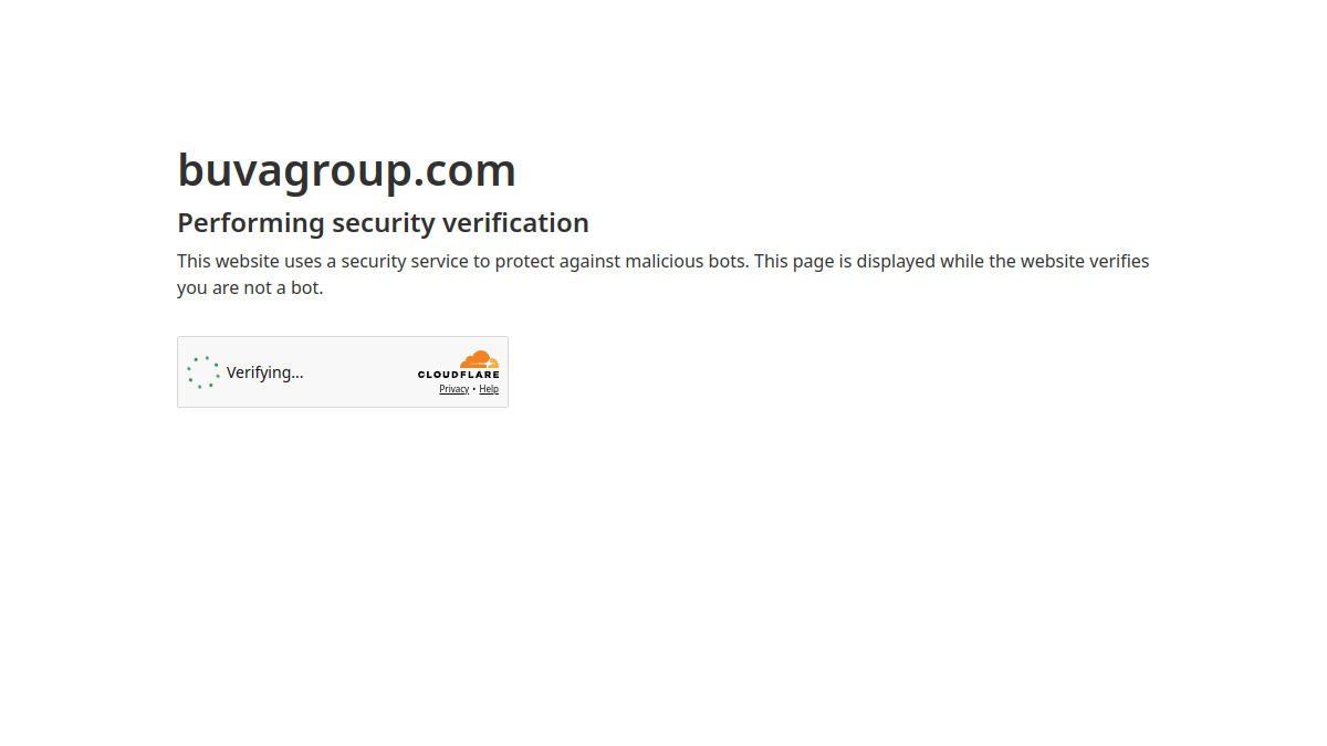 Screenshot website Buva Group