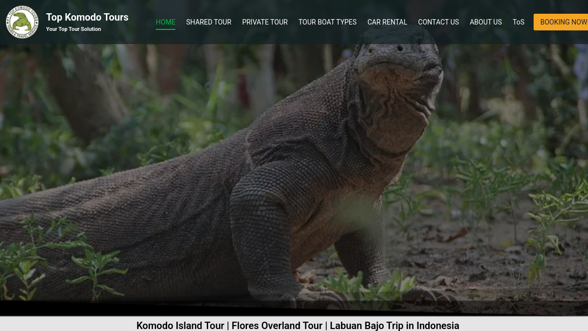 Screenshot website topkomodotour.com