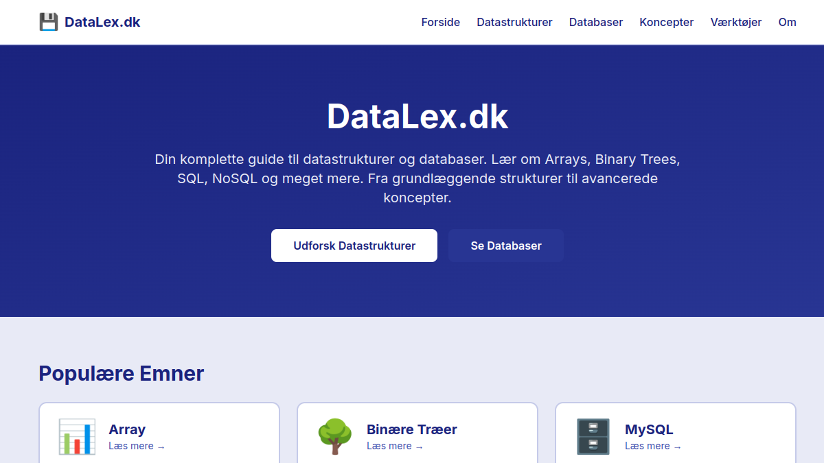 Screenshot af DataLex