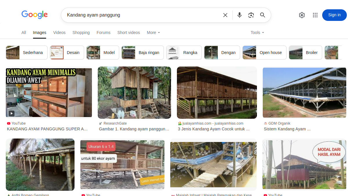 Desain kandang ayam model panggung yang ditinggikan dari tanah