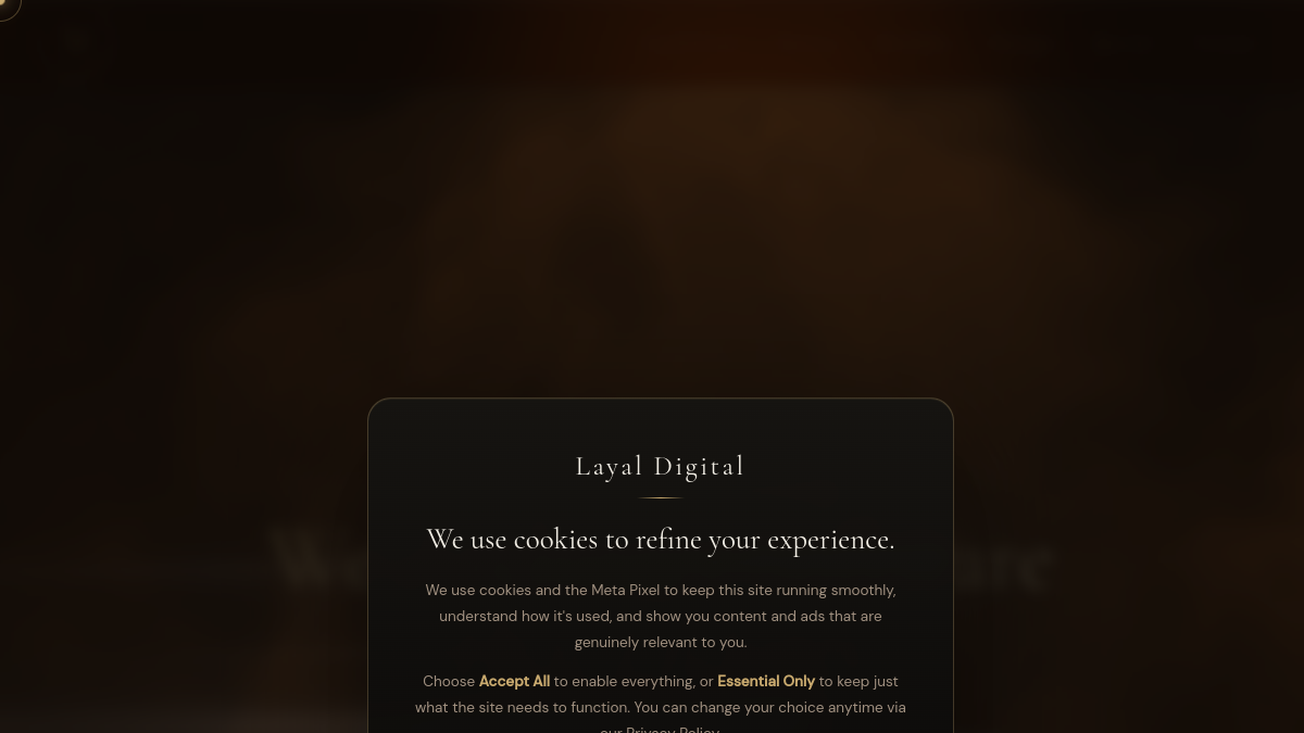 Preview of the Layal Solutions website