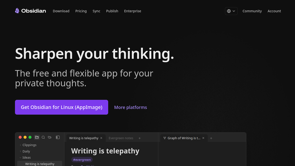 Obsidian AI ana sayfa görünümü
