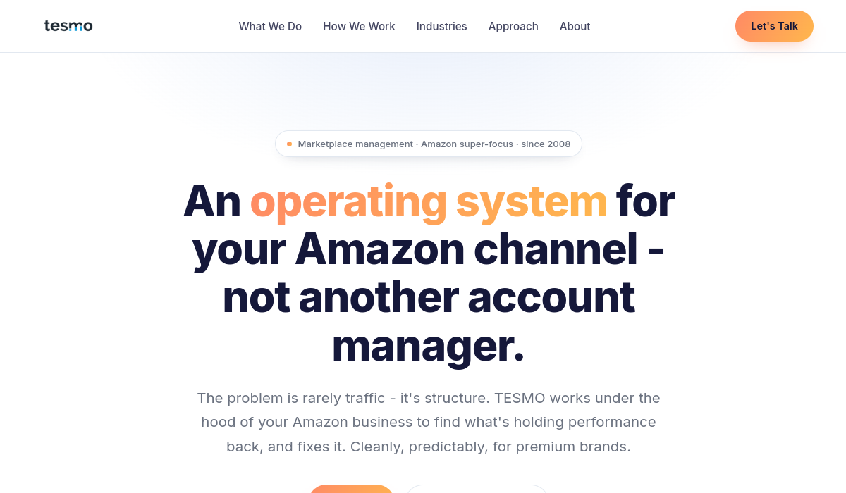 TESMO Amazon marketplace consultancy website
