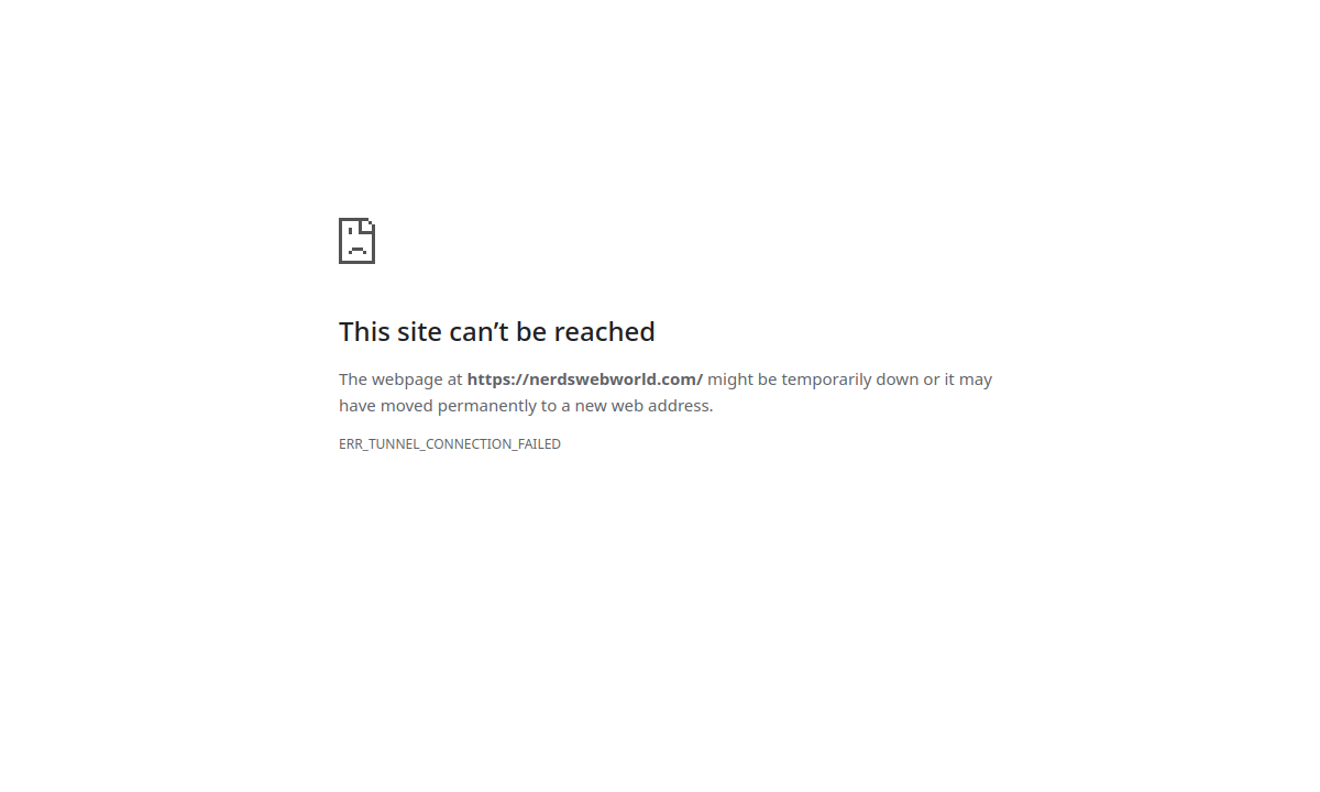 Nerd's Web World website preview