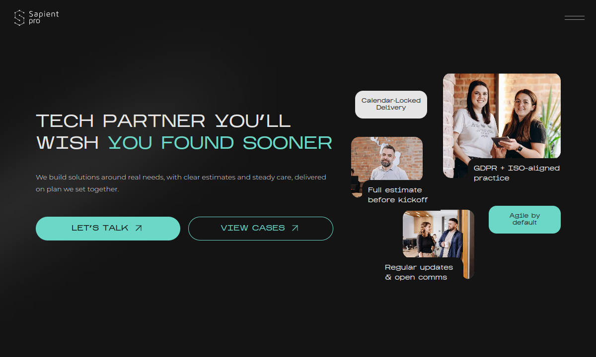 SapientPro website preview