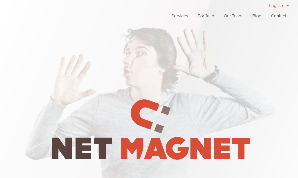 Net Magnet website preview