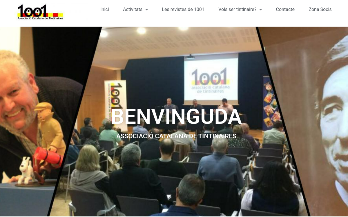 Web de 1001 · Associació de Tintinaires