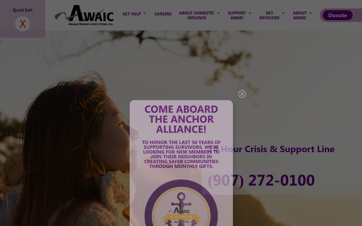 AWAIC website screenshot