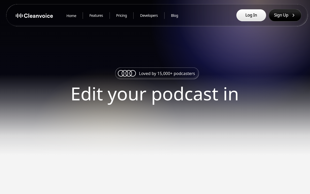 Cleanvoice website preview