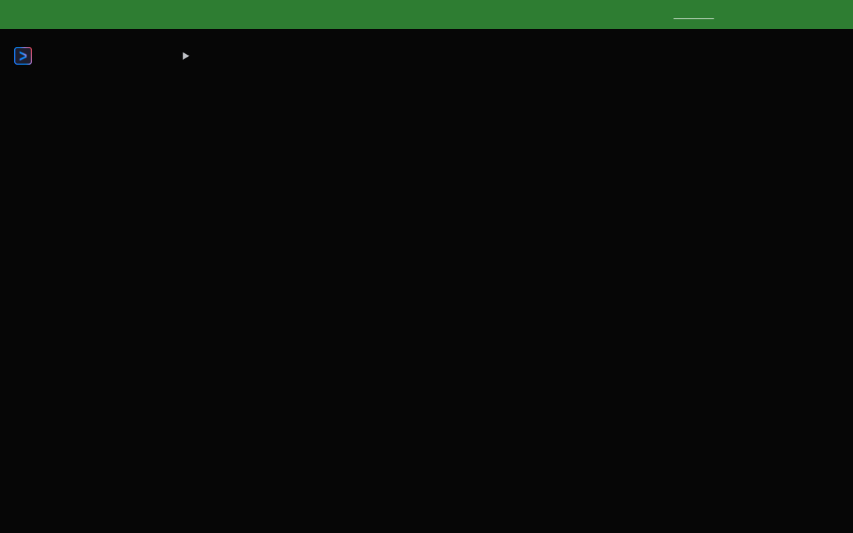 Gemini CLI website preview