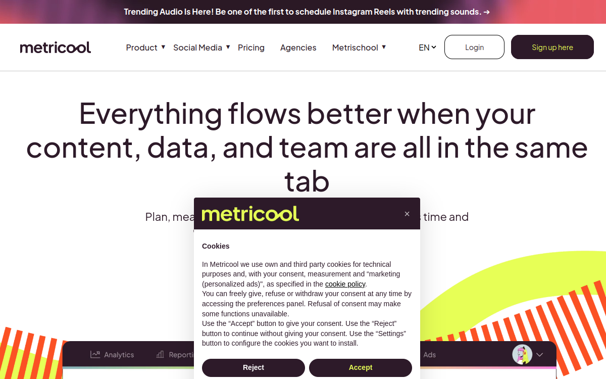 Metricool website preview
