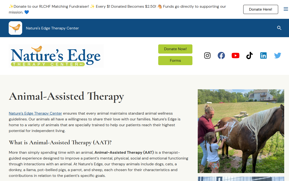 Nature's Edge Therapy Center Inc website screenshot