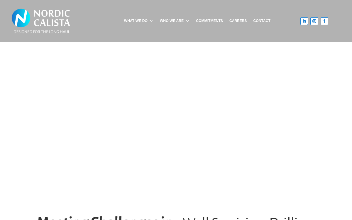 Nordic-Calista LLC website screenshot