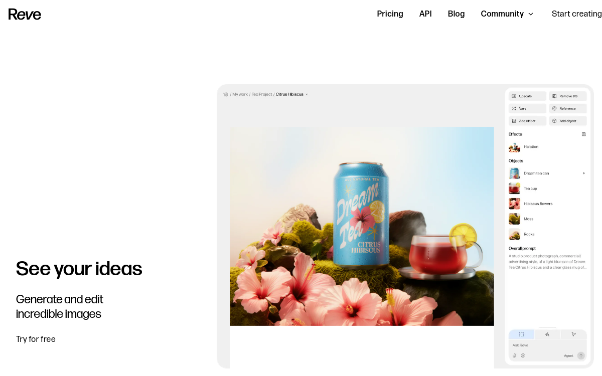 Reve website preview