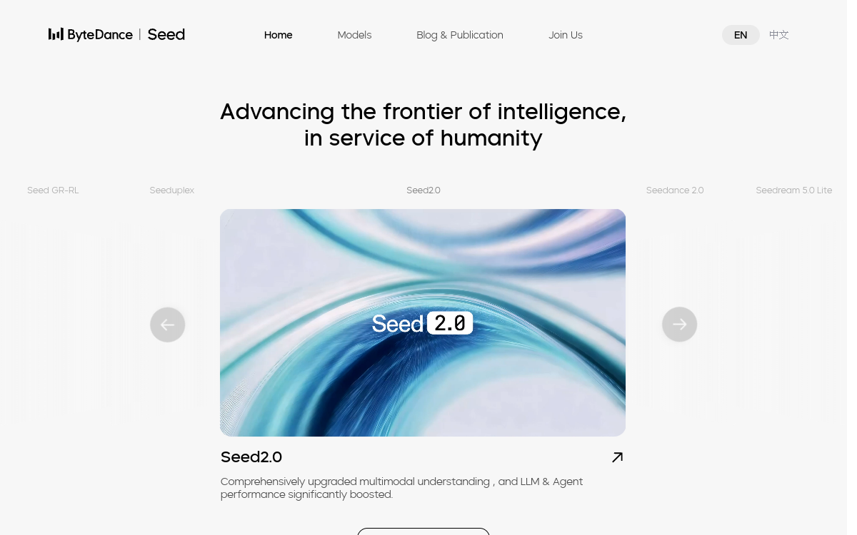 Seedance 2.0 website preview