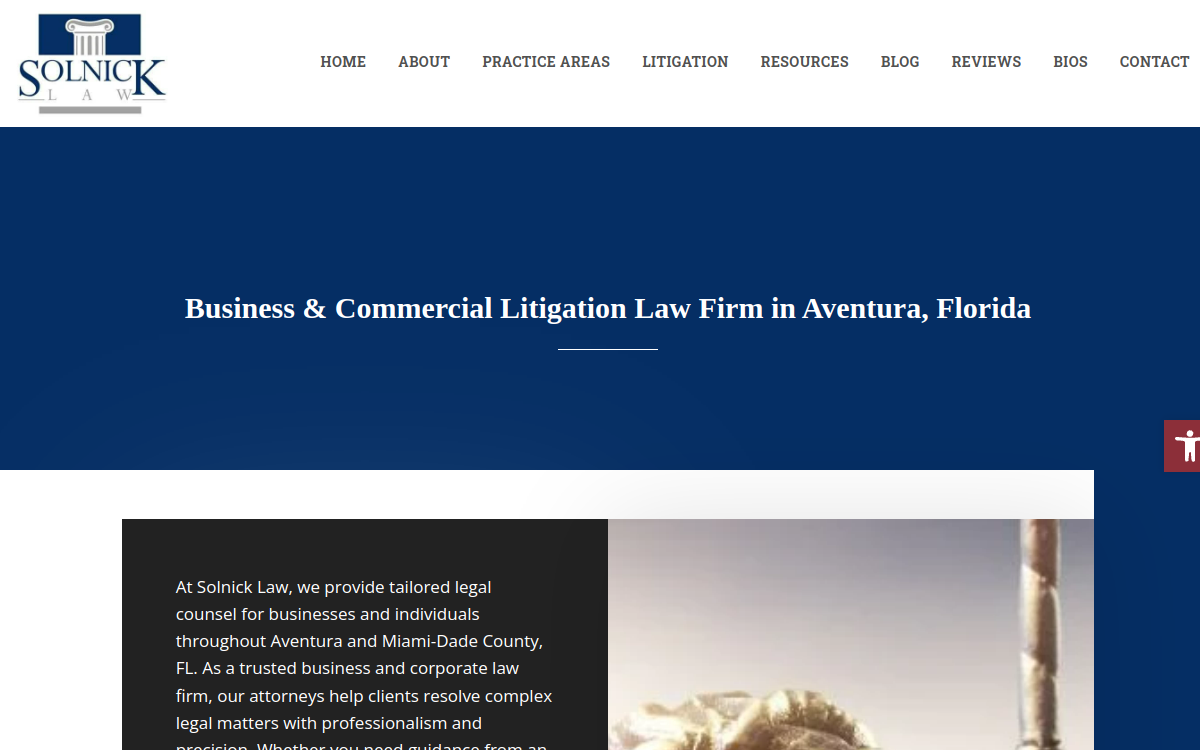 Solnick Law website screenshot