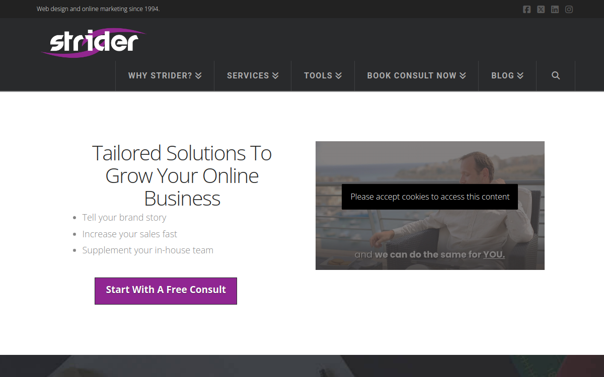 Strider Inc. website screenshot