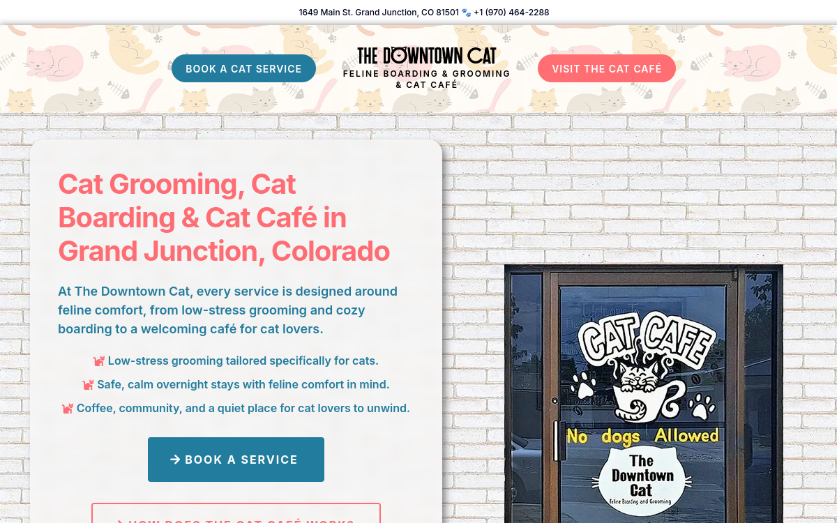 The Downtown Cat website screenshot
