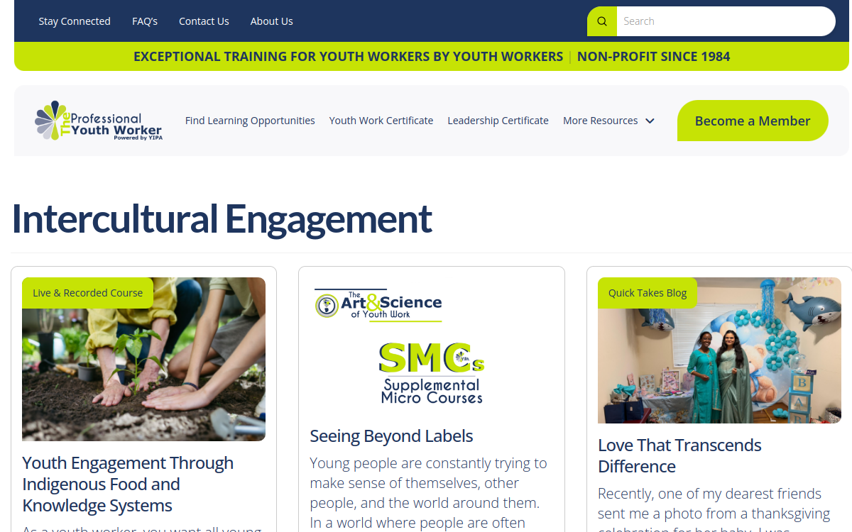 Youth Intervention Programs Association website screenshot