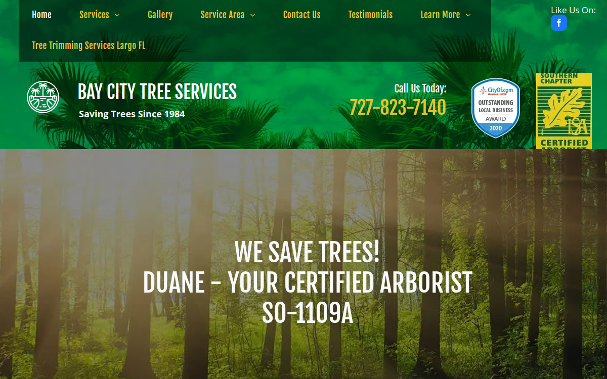 Bay City Tree Services website screenshot