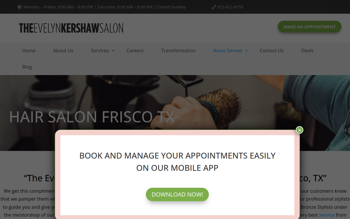 The Evelyn Kershaw Salon website screenshot