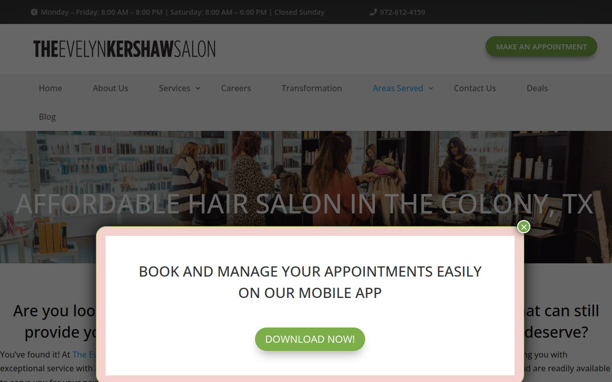 The Evelyn Kershaw Salon website screenshot