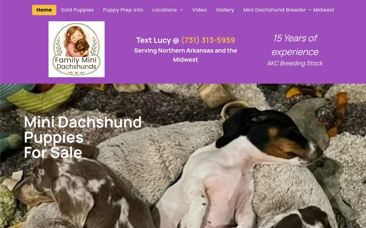 Family Mini Dachshunds website screenshot