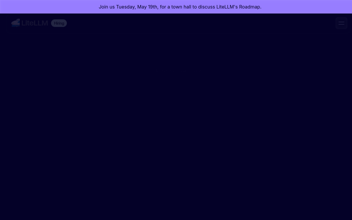 LiteLLM website preview
