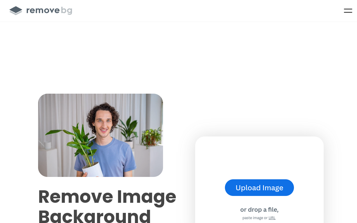 Remove.bg website preview