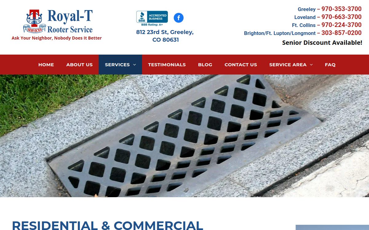 Royal T Rooter Service website screenshot