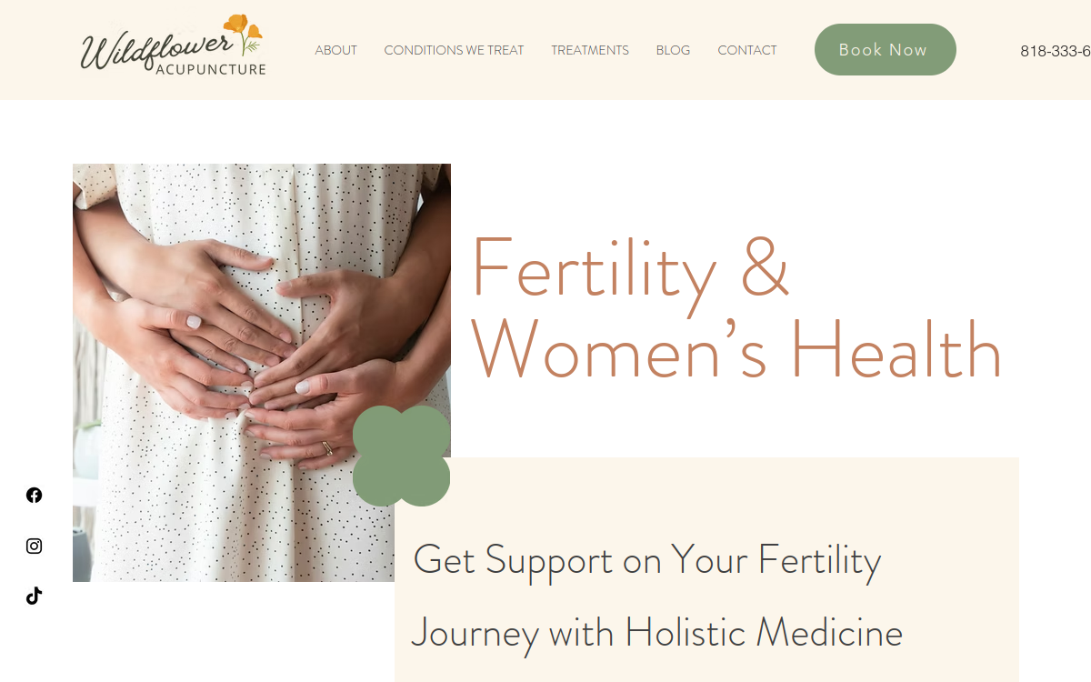 Wildflower Acupuncture website screenshot