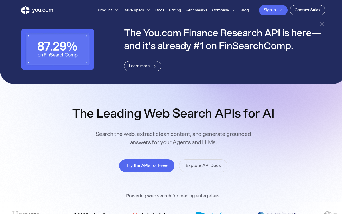 You.com website preview