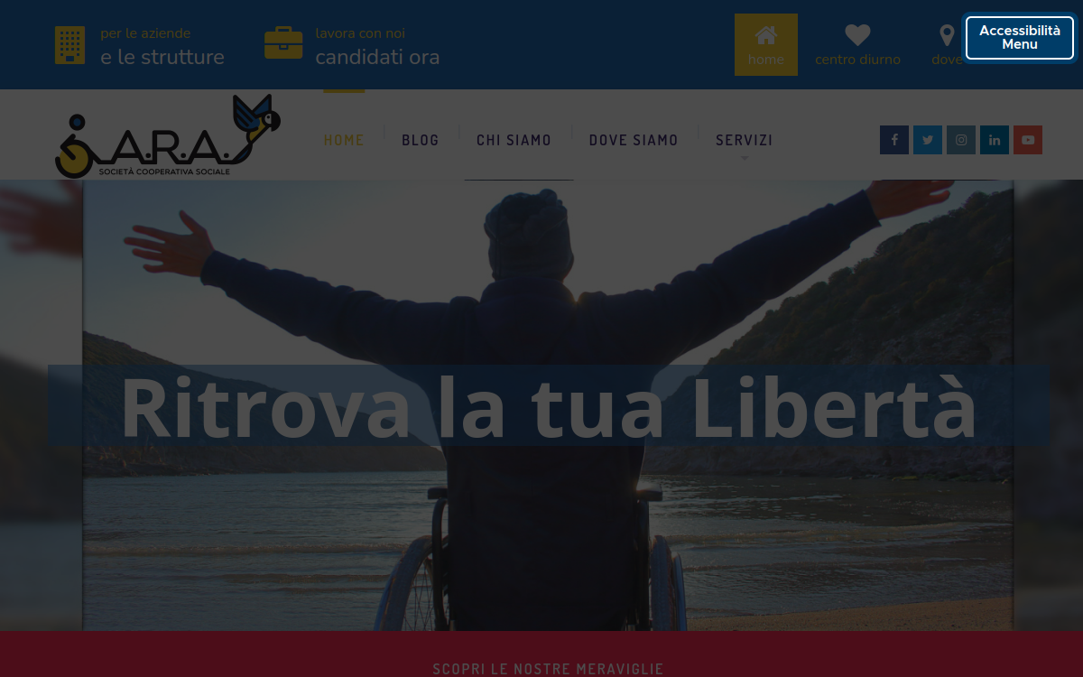 ARA Sociale
