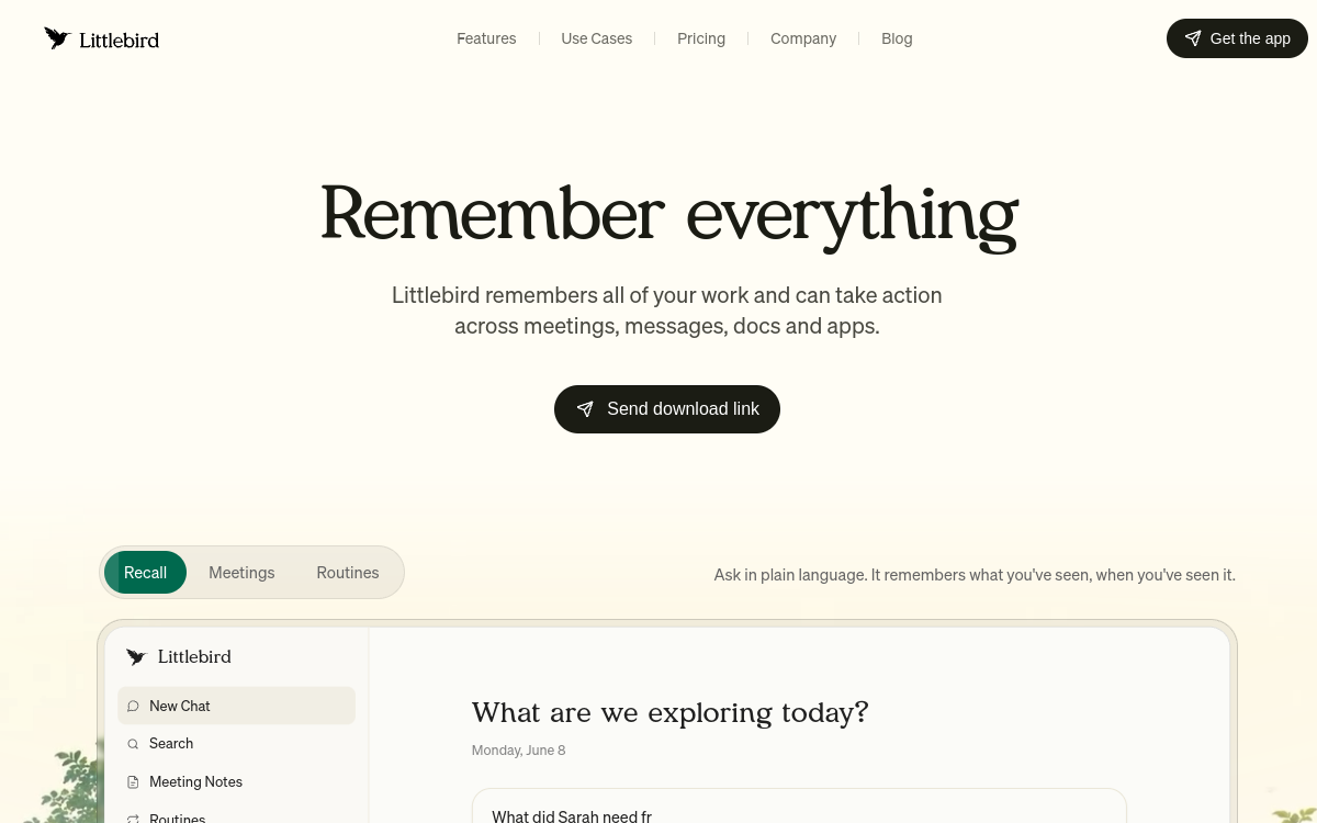 Littlebird website screenshot