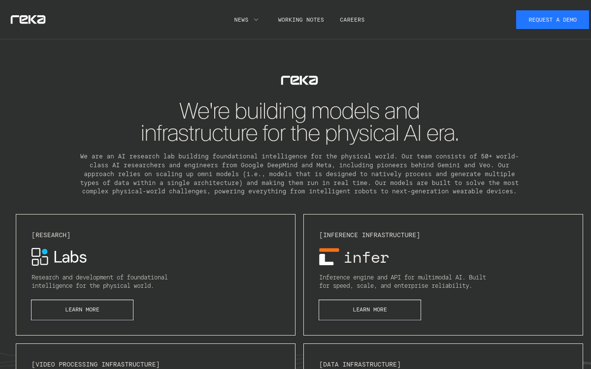 Reka Vision website screenshot