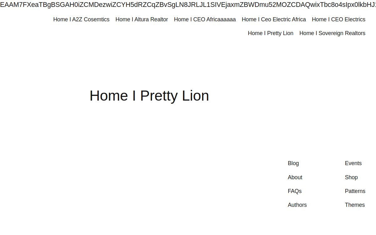 Pretty Lion website interface