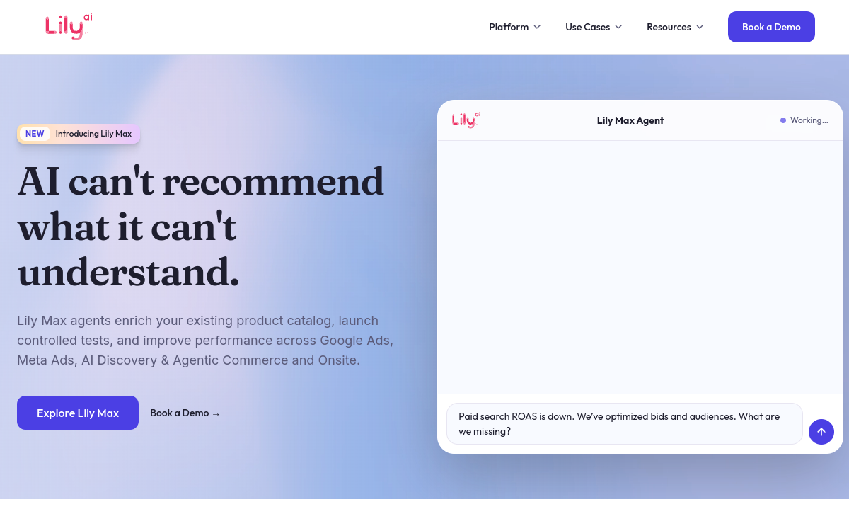 Lily AI website screenshot