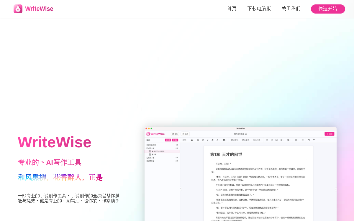 WriteWise 网站预览