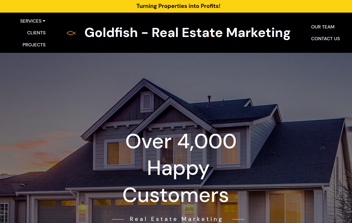 Screenshot of Goldfish Interactive website